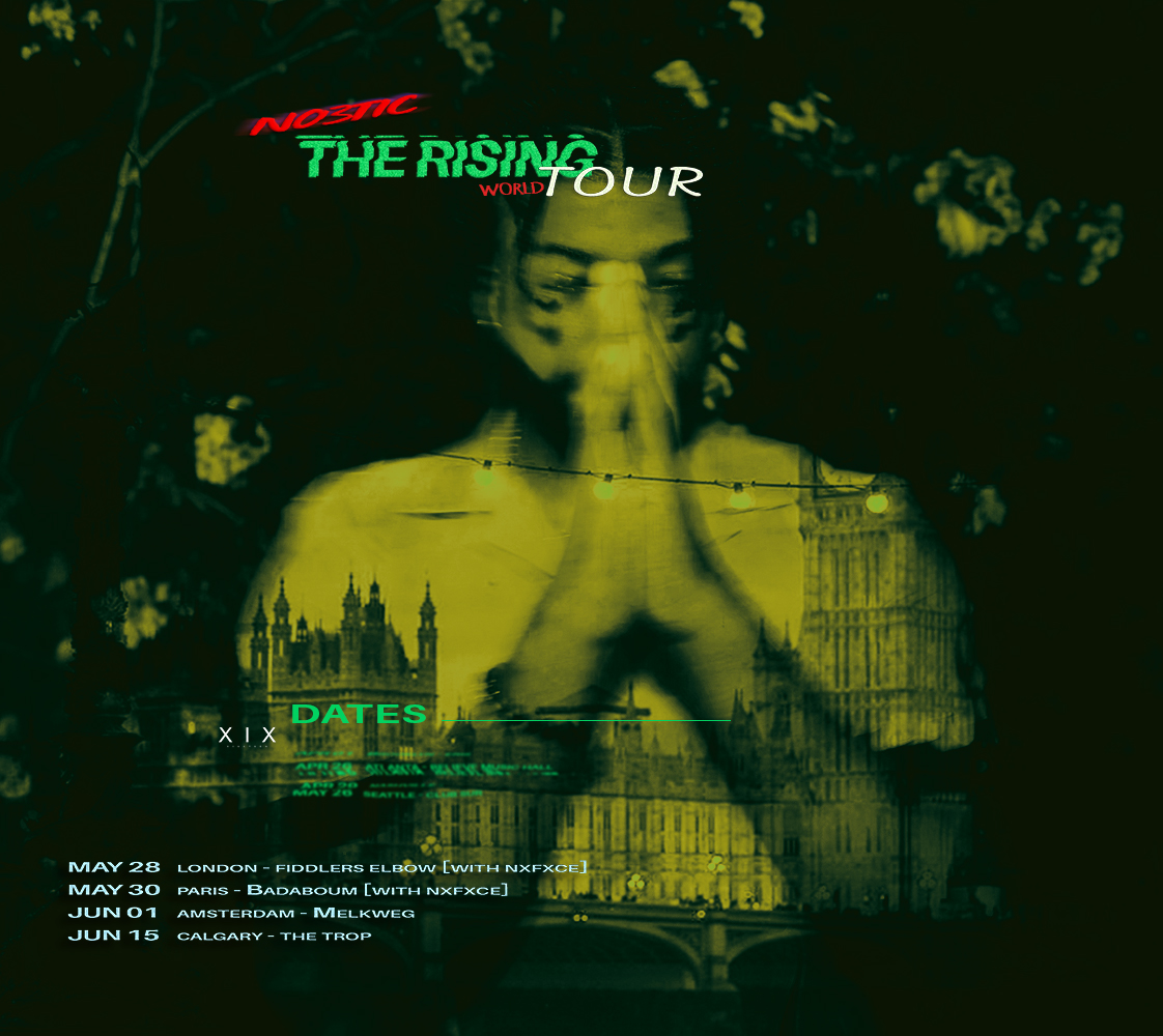 International Tour Work, The Rising Tour artwork